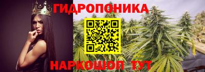 прущий лед Пугачёв