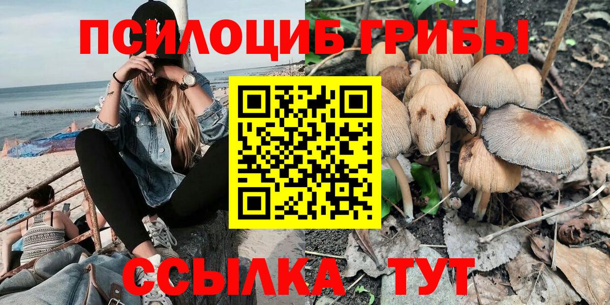 Ангарск  Галлюциногенные грибы мицелий  Псилоцибиновые грибы мухоморы  Вход с VPN 